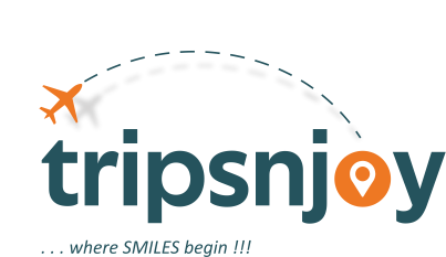 Trips N Joy